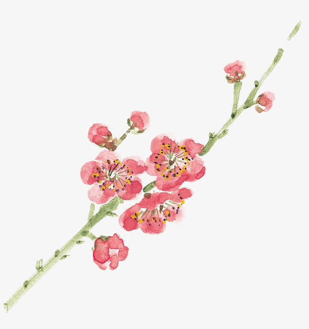 手绘梅花