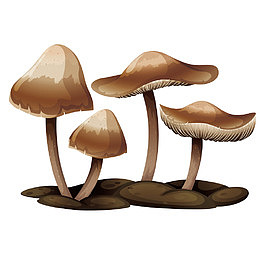 矢量菌子
