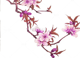 一支梅花
