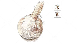 茨菰