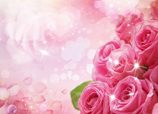 粉红色玫瑰花素材背景