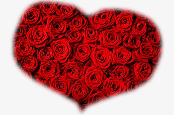 美丽的红色玫瑰爱心背景