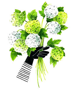 一束鲜花