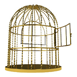 金色花纹铁笼子
