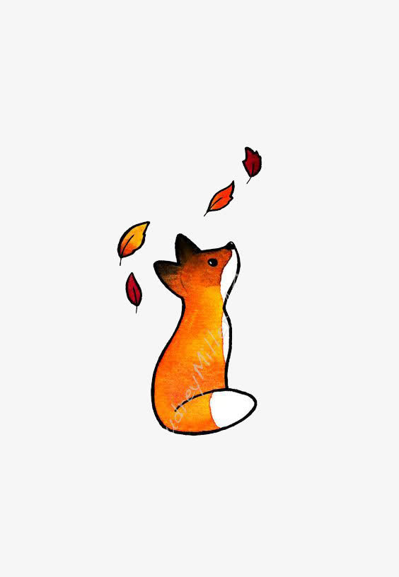 看落叶的小狐狸