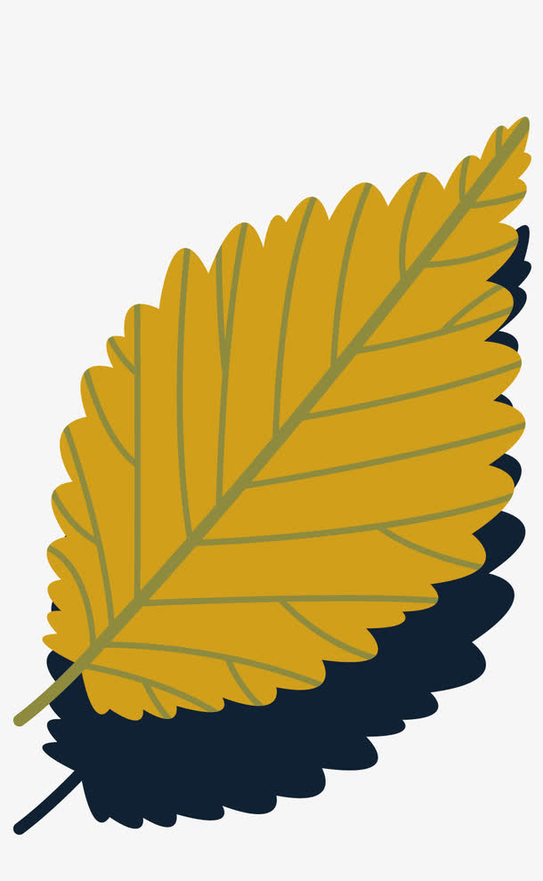 树叶设计矢量元素