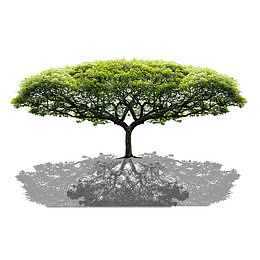 菩提大树