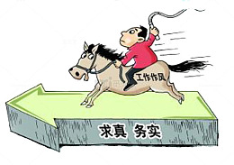 求真务实意见