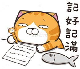橘猫写作业