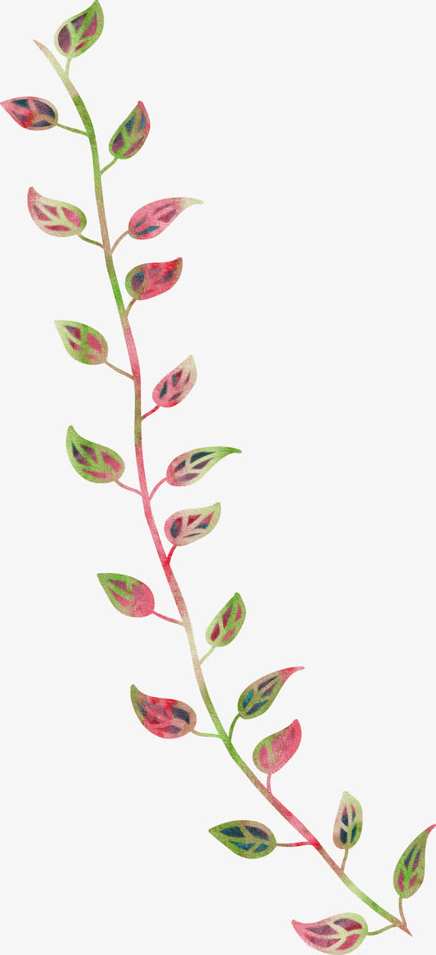 关键词 : 红色,绿色,长串,桔梗,叶子,卡通,&nbsp;手绘,&nbsp;简图