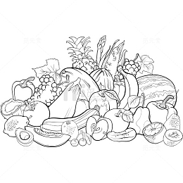 简笔画 线条 水果 黑白 速写 素描