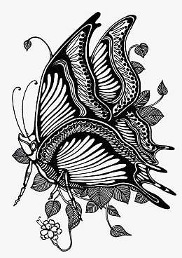 蝴蝶黑白素材-蝴蝶黑白png图片下载-觅元素