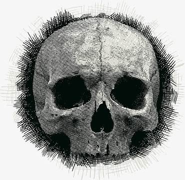 手绘黑白骷髅头png黑白矢量骷髅头插画设计素材图片png中国风山水云纹