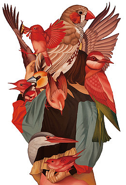 矢量抵制服装使用鸟羽插画