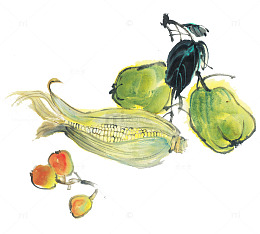 手绘水彩蔬菜水果玉米樱桃大白菜