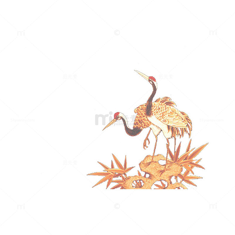 两只丹顶鹤