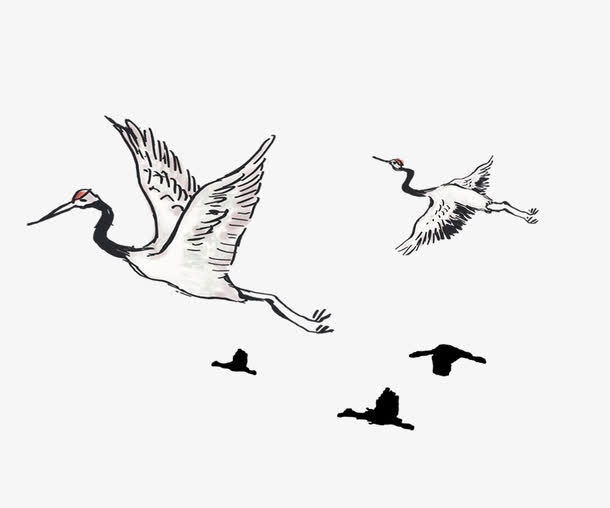 手绘丹顶鹤