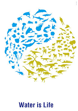 生物阴阳鱼