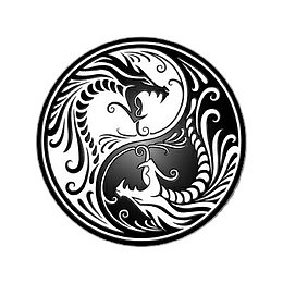 阴阳双龙标志
