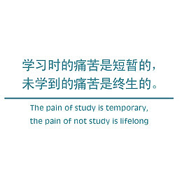 学习标语