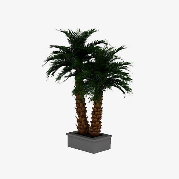 棕榈树盆栽3d模型