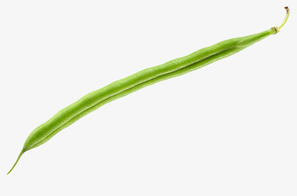 长豆角有机