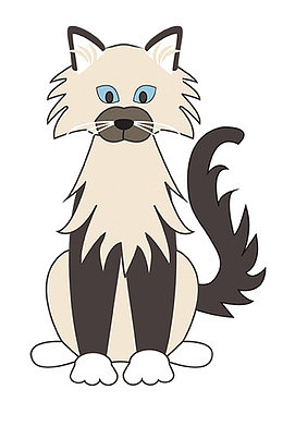 毛绒猫咪