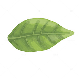 手绘绿色叶子