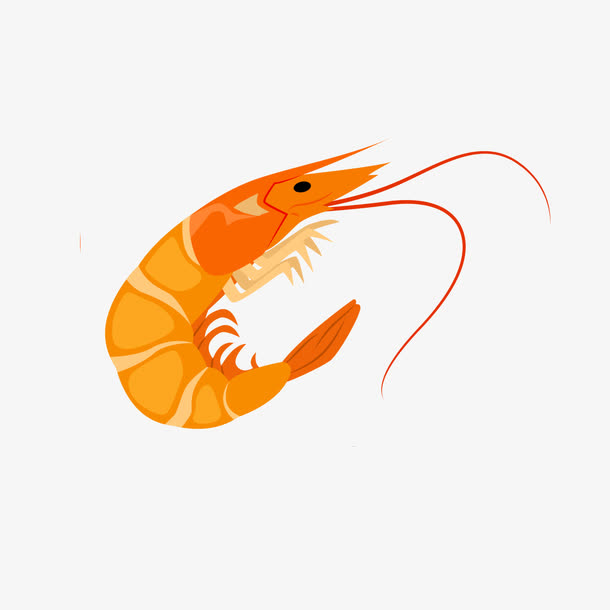 关键词 : 虾,动物,海,食物,卡通[声明] 觅元素所有素材为用户免费分享