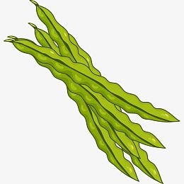 绿色豆角