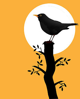 站立在枝头的小鸟