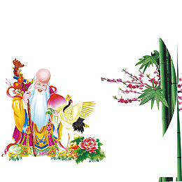 竹子长寿老人花朵