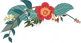 清新植物装饰图案