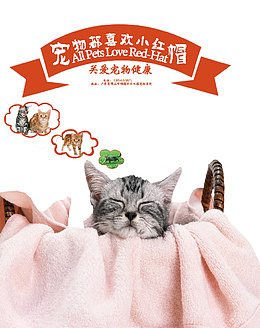 宠物店宣传单猫咪可爱