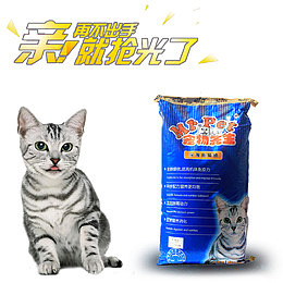 宠物用具宣传单