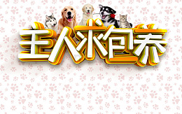 主人求包养艺术字