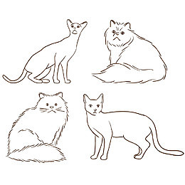 手绘线条宠物猫咪矢量素材
