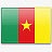 喀麦隆国旗国旗帜