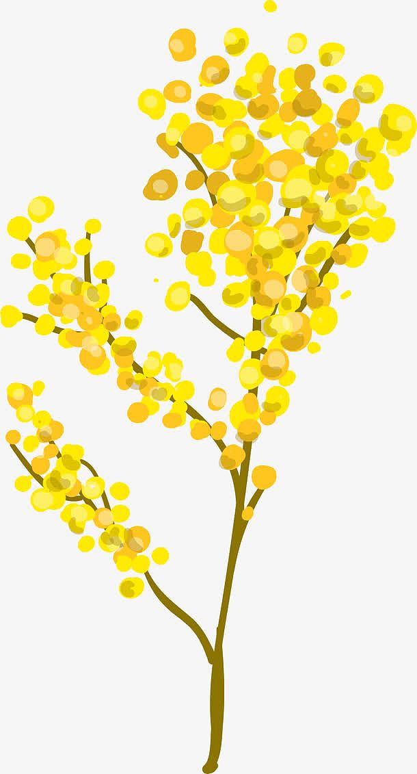黄色花束
