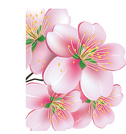 靓丽的丝网花