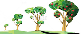 果树成长过程