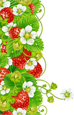 矢量横栏草莓