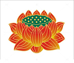 开花结果的莲花