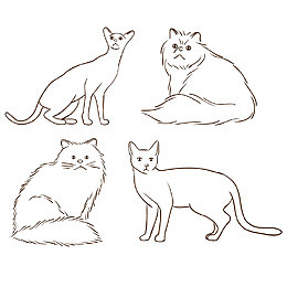 手绘线条宠物猫咪矢量素材