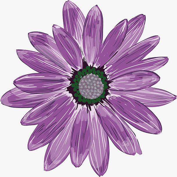 紫罗兰丝网花