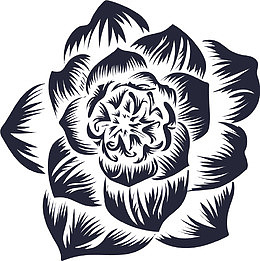 黑色渐变丝网花