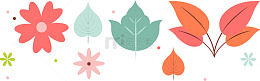 枫叶丝网花