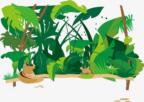 热闹的雨林png平铺填充图案png亚马逊丛林共享图片全部图片图片类型