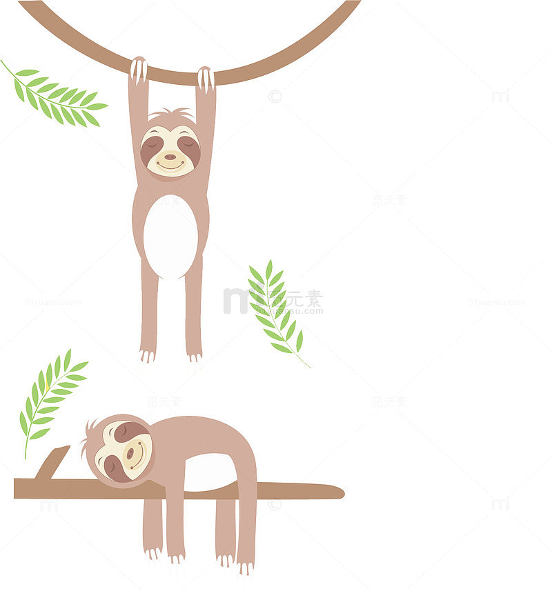 两只树獭在亚马逊
