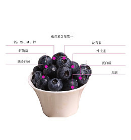蓝莓熊果苷成分分析图